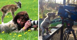 Dont disturb animals while taking phots