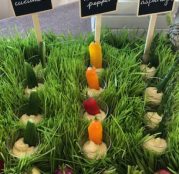 Catering Forecast