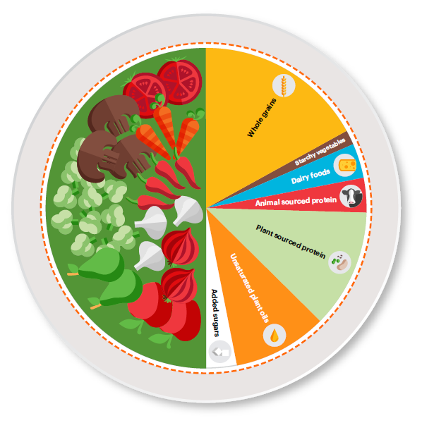 Colorful Chart showing food chain