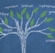 Image of tree Showing facts about Biological Changes