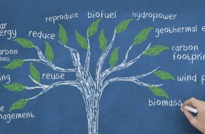 Image of tree Showing facts about Biological Changes