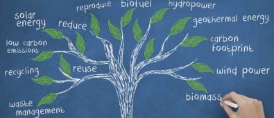 Image of tree Showing facts about Biological Changes