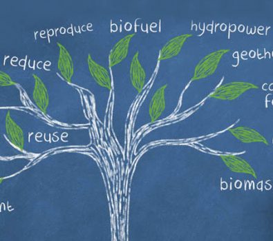 Image of tree Showing facts about Biological Changes