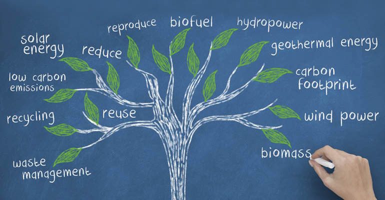 Image of tree Showing facts about Biological Changes