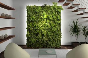 Living Green Wall