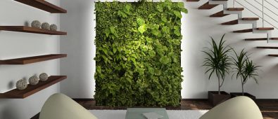 Living Green Wall