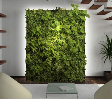 Living Green Wall