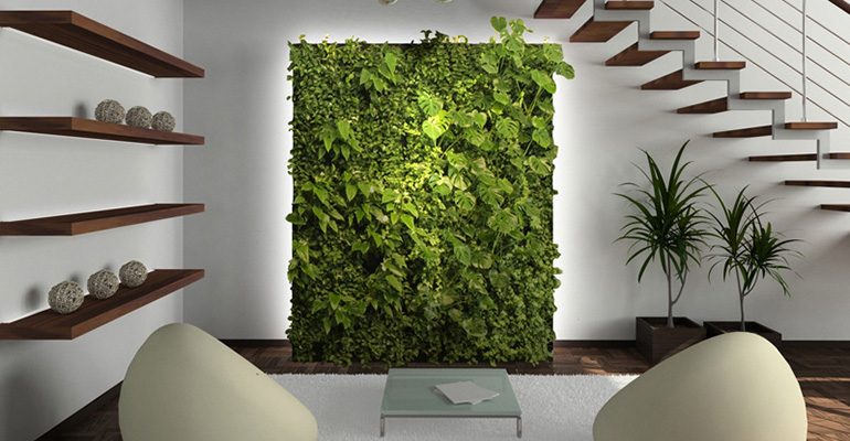 Living Green Wall